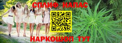 стаф Заводоуковск