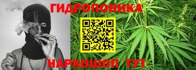 стаф Заволжье