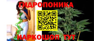 стаф Заволжье