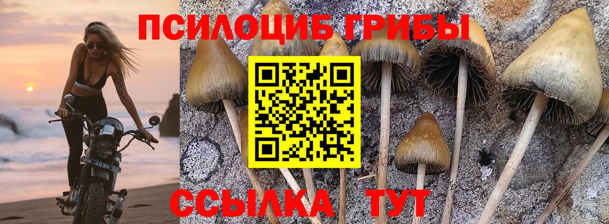 Галлюциногенные грибы Psilocybe  Псилоцибиновые грибы Psilocybe  Вход с VPN  Лосино-Петровский 
